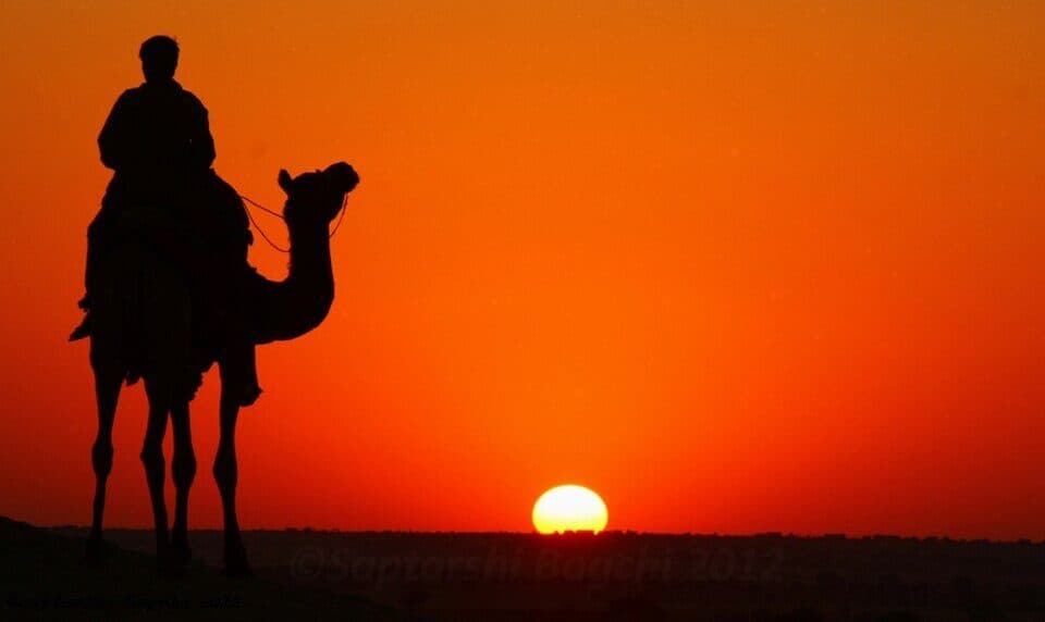 Camel silhouetted against a desert sunset near Jaisalmer